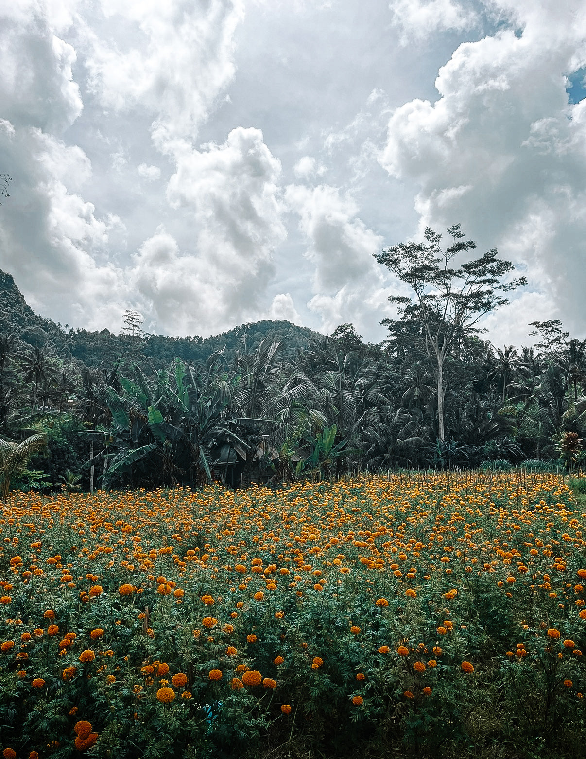 Nos expériences côté terre