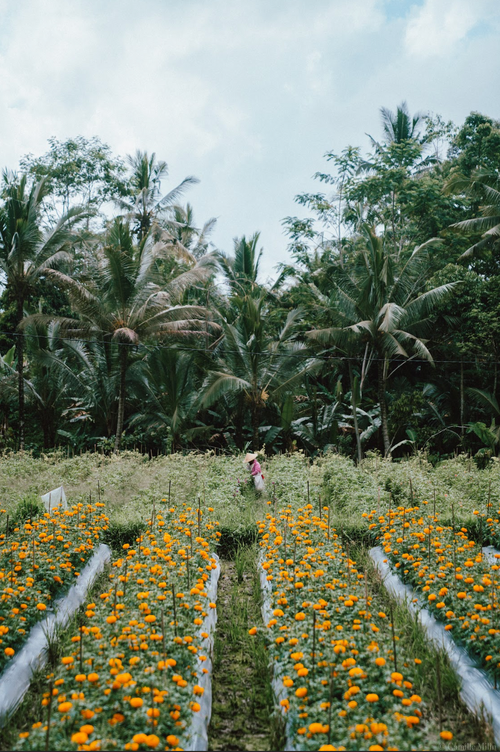 Atelier bijoux, Sidemen & cascade