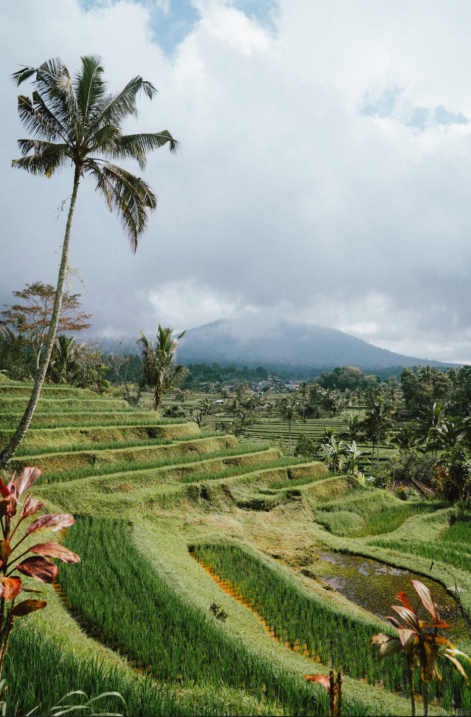 Jatiluwih, cascade de Leke Leke & Monkey forest