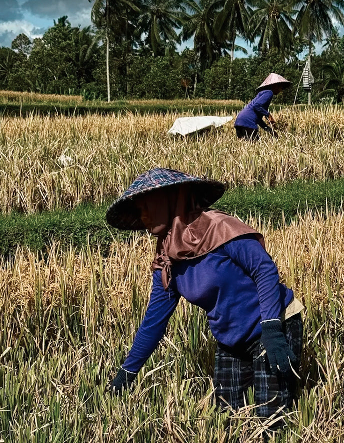 VTT à Ubud & immersion locale
