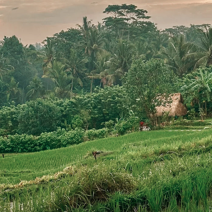 VTT à Ubud & immersion locale