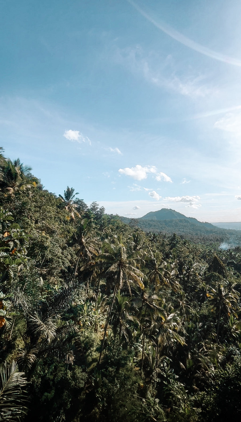 Cours de cuisine, Sidemen & cascade