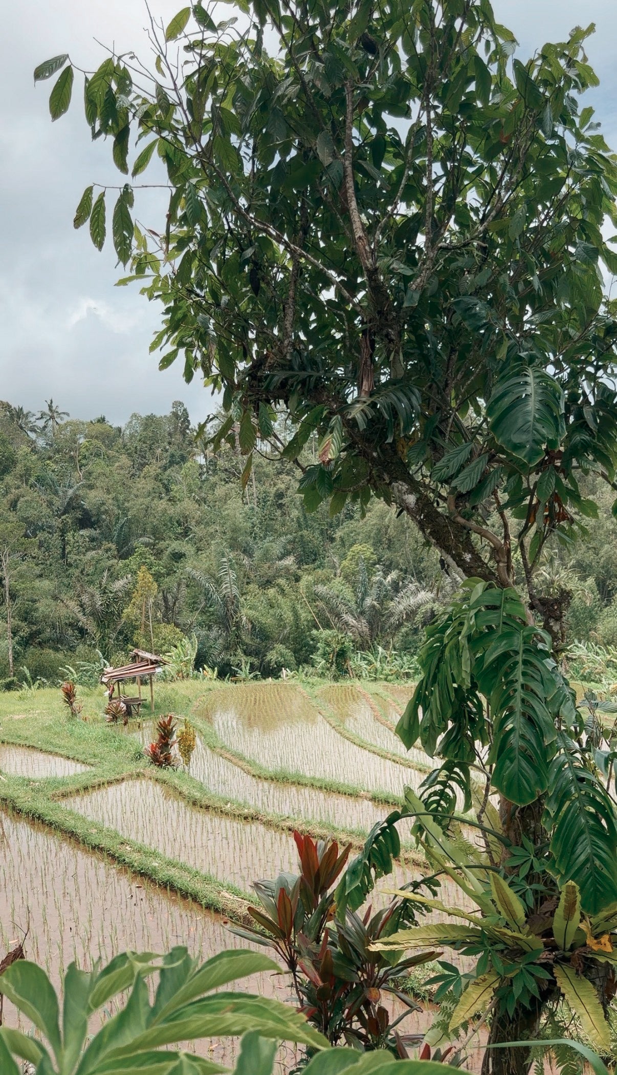 Signature MOB 💚 Journée chez l'habitant – Trek & expérience locale