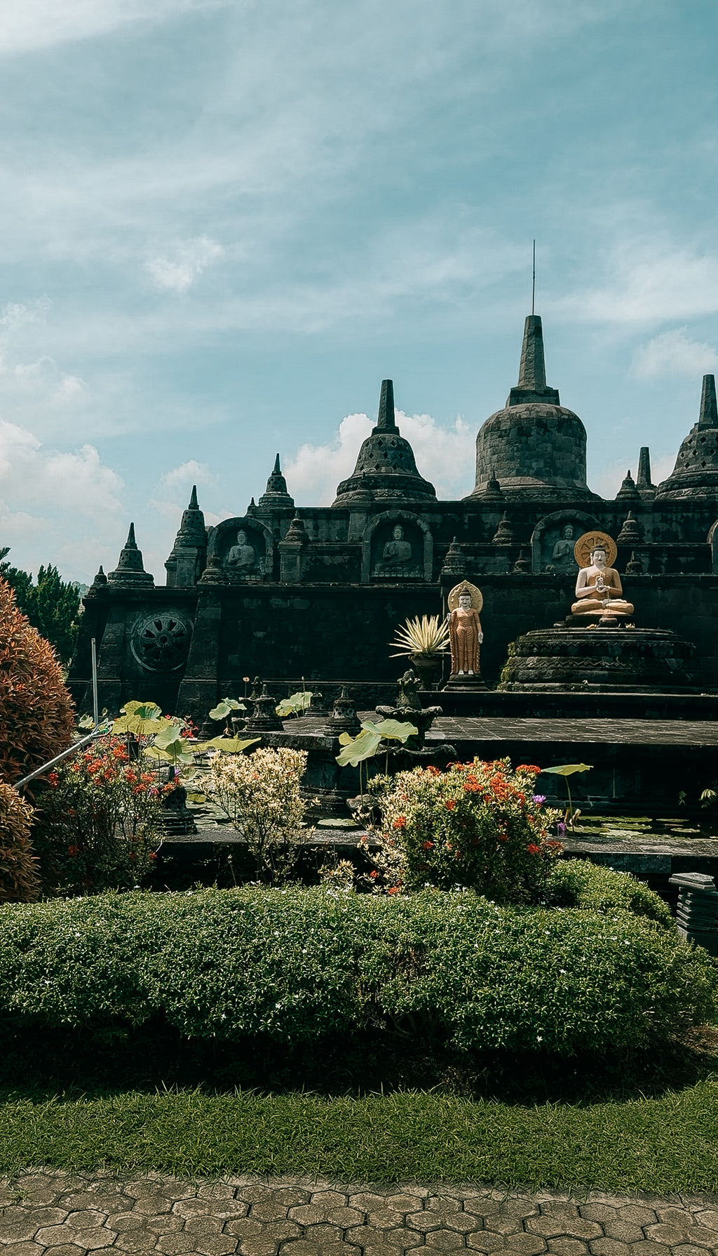 Rencontre avec les dauphins à Lovina, temple & sources chaudes