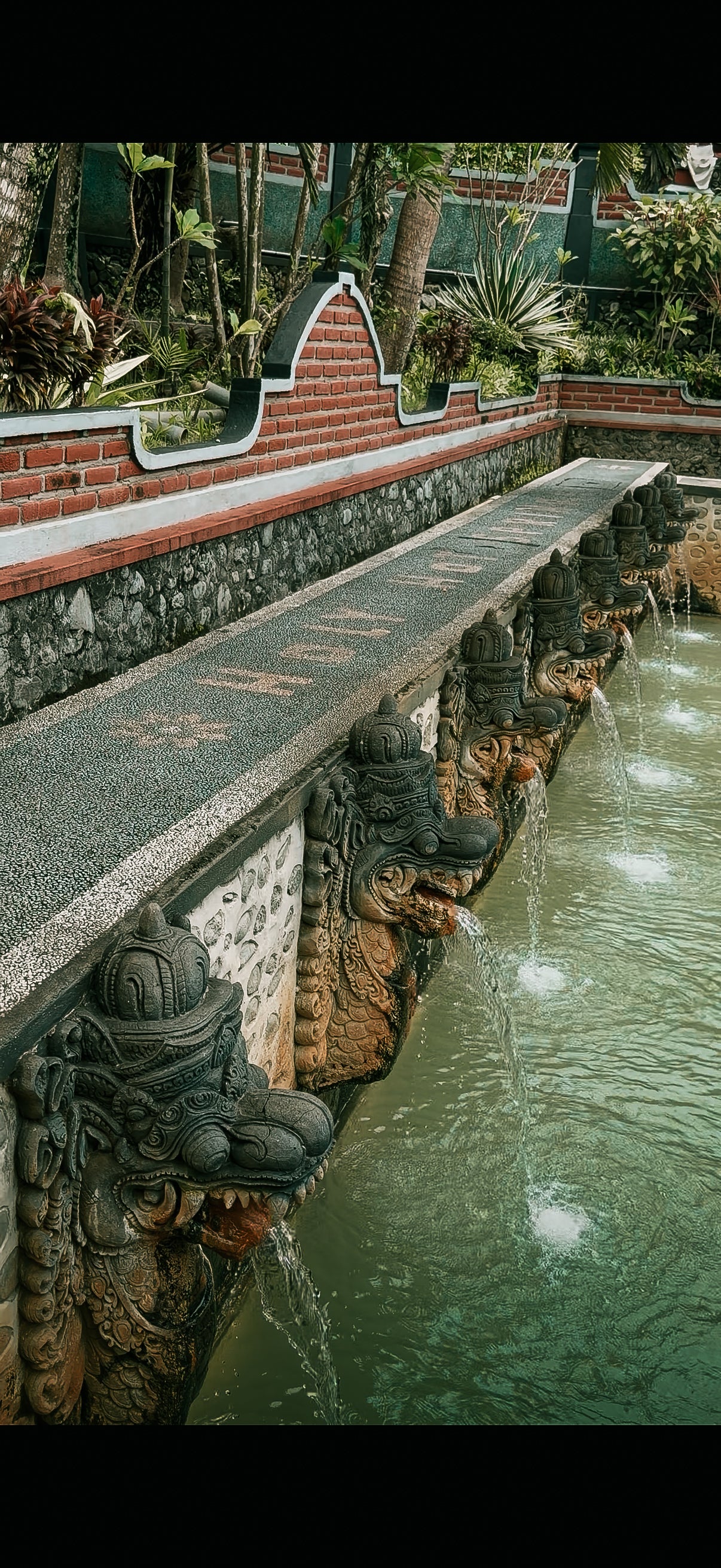 Rencontre avec les dauphins à Lovina, temple & sources chaudes