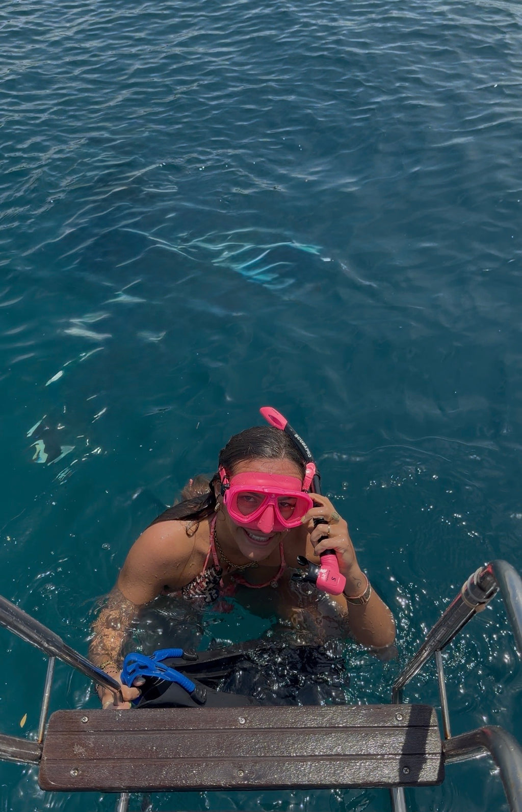 Snorkeling à Menjangan (sans chauffeur)