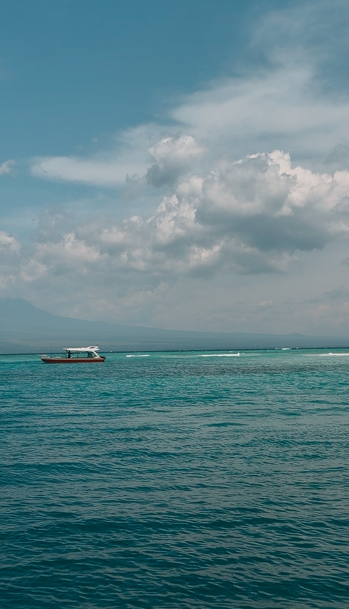 Snorkeling à Menjangan (sans chauffeur)