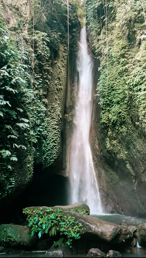Jatiluwih, cascade de Leke Leke & Monkey forest