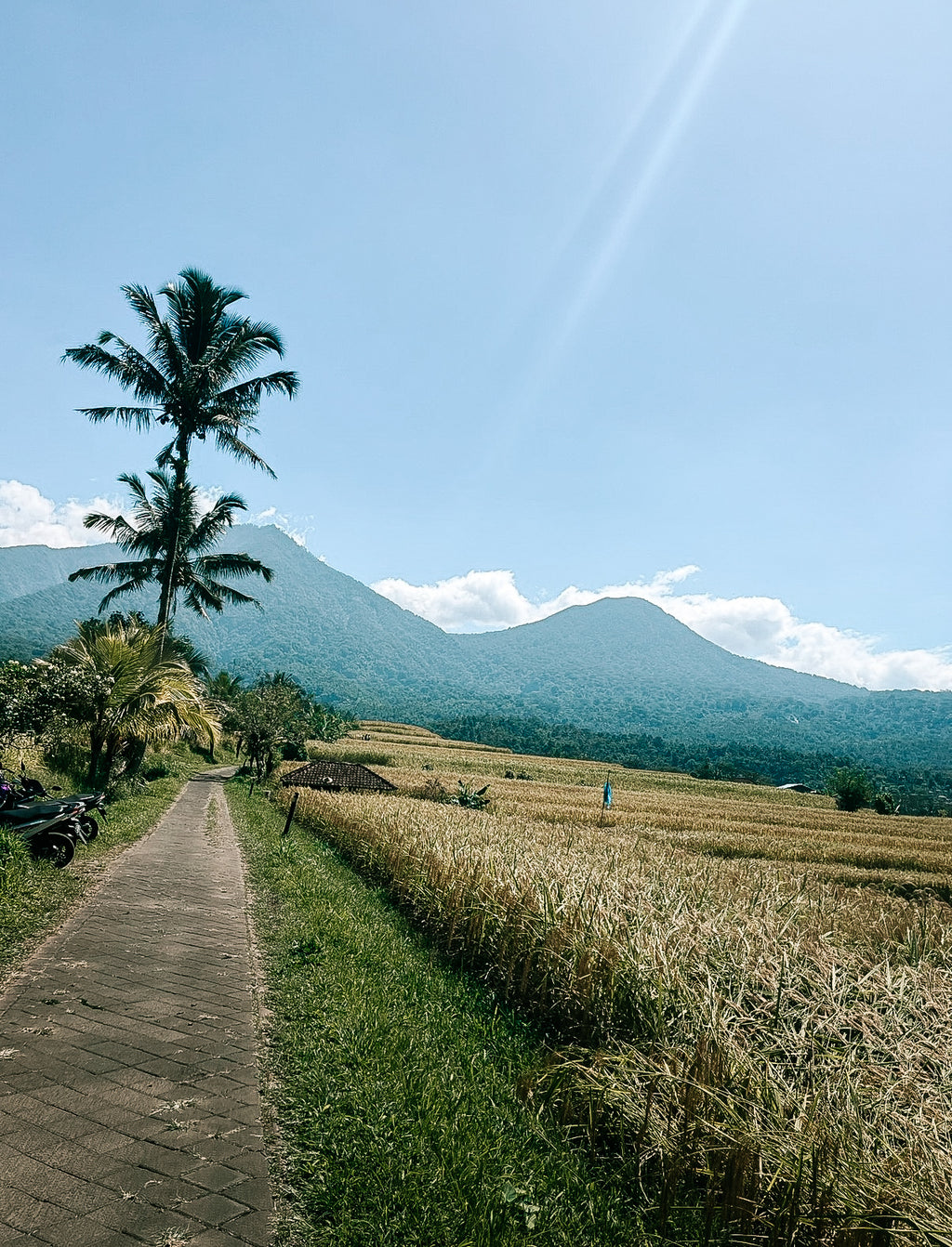 VTT à Jatiluwih & cascade de Leke Leke