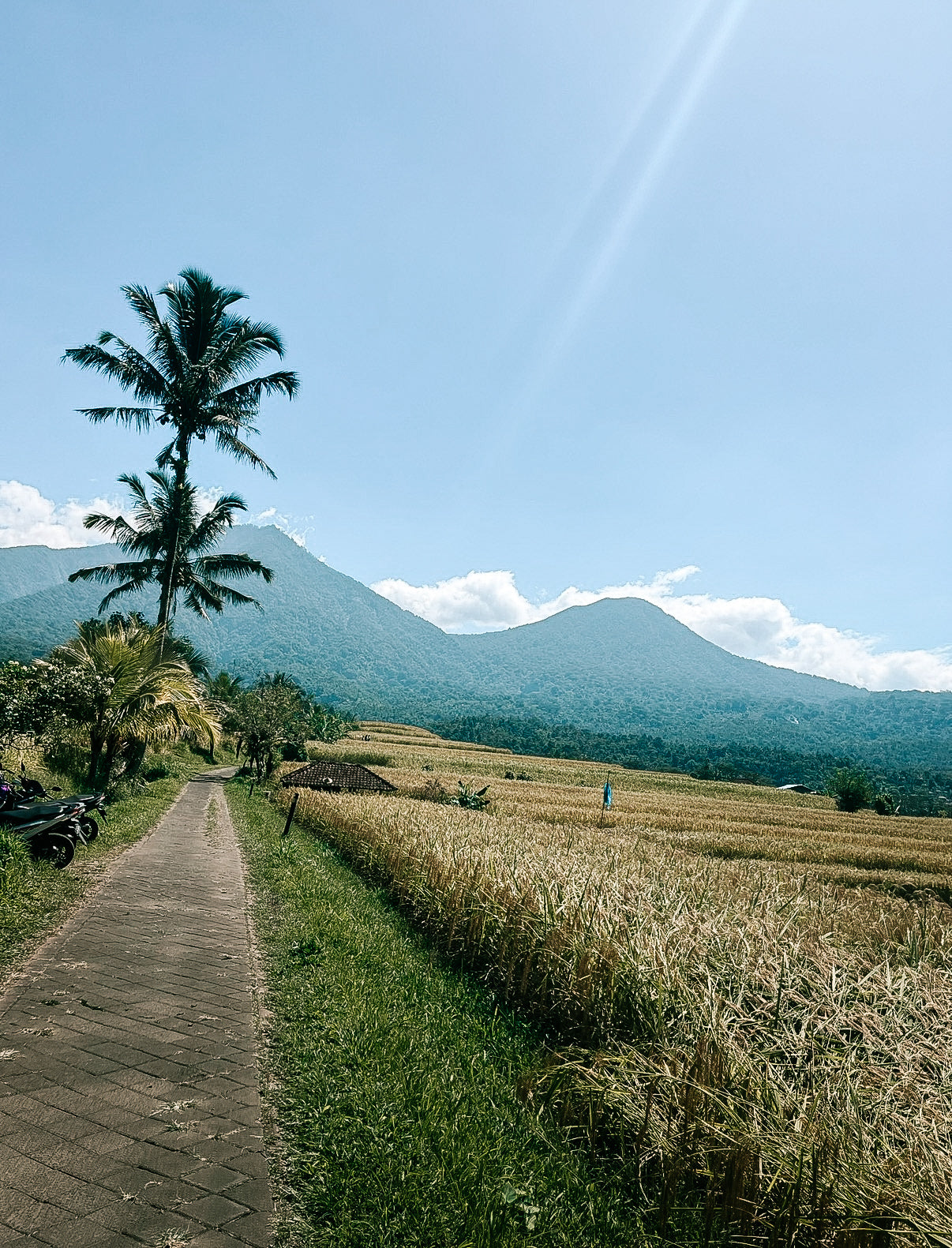 VTT à Jatiluwih & cascade de Leke Leke