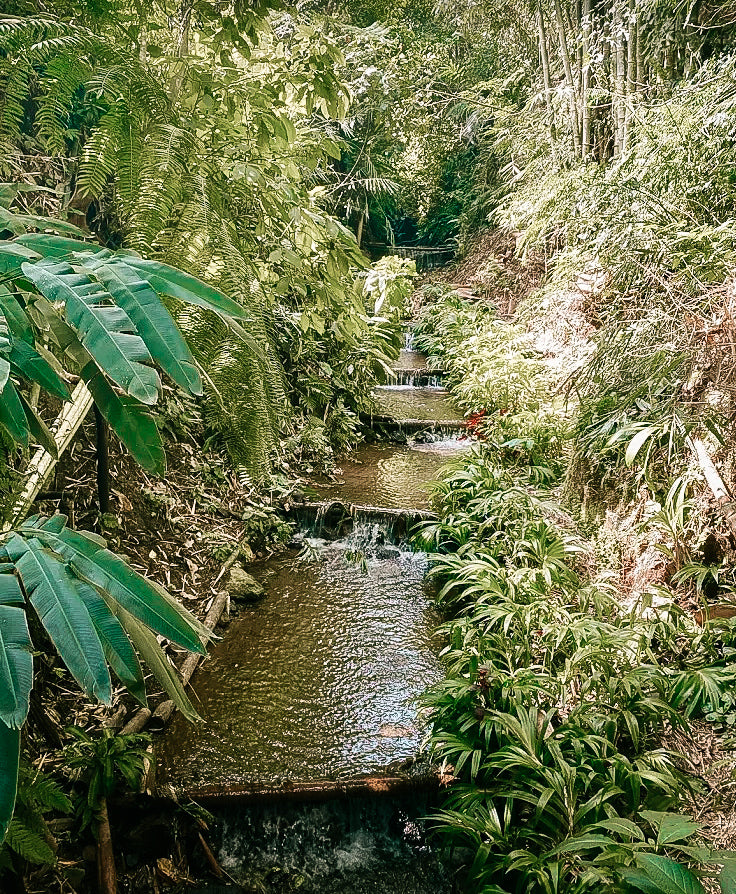Les  4 cascades de Munduk